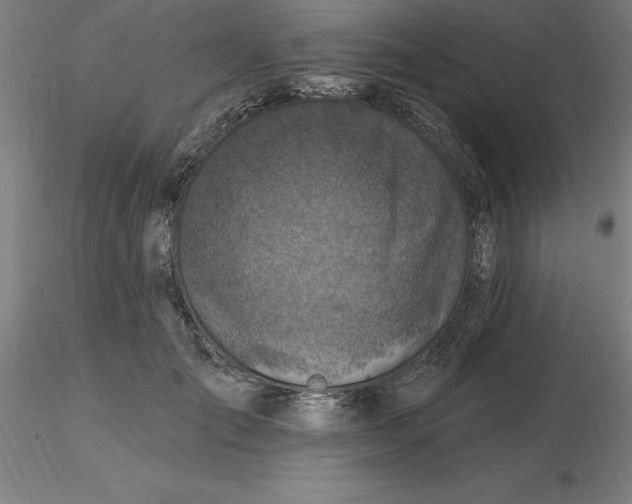 X0000116280701200912211819