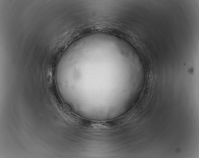 X0000116280703200912211819