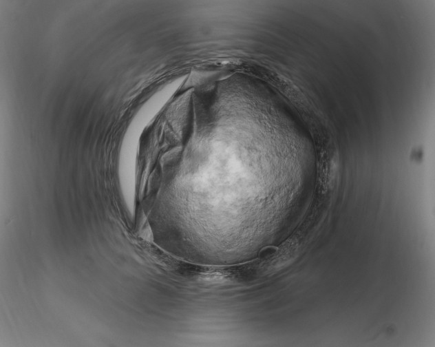 X0000116280704200912211819