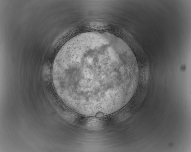 X0000116280705200912211819