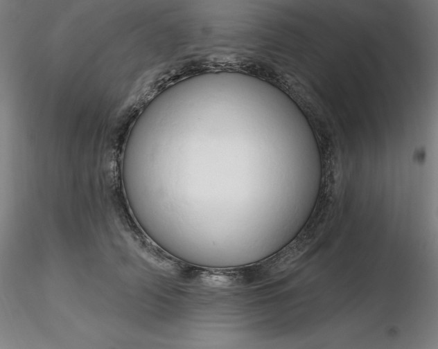 X0000116280706200912211819