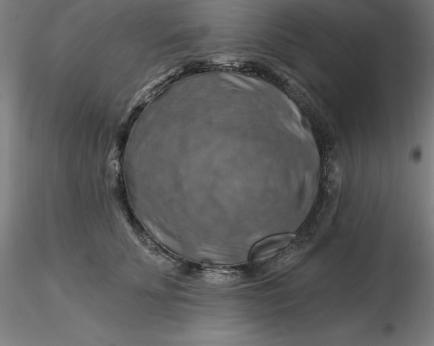 X0000116280707200912211819