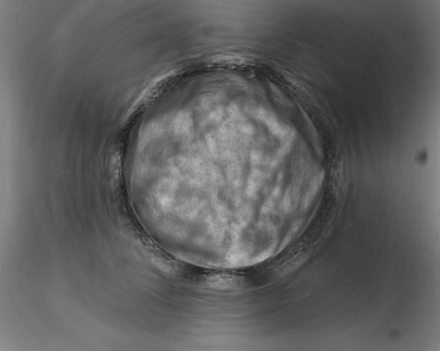 X0000116280708200912211819