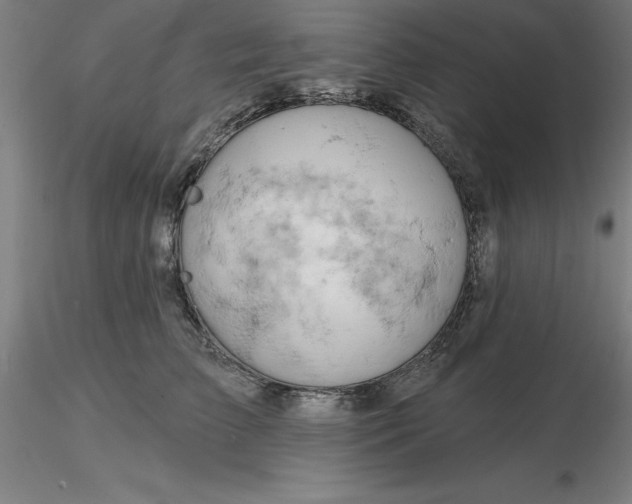 X0000116280709200912211819