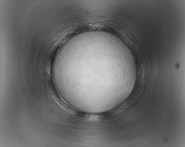 X0000116280710200912211819