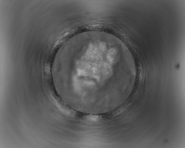 X0000116280711200912211819