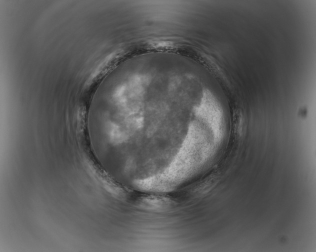 X0000116280712200912211819