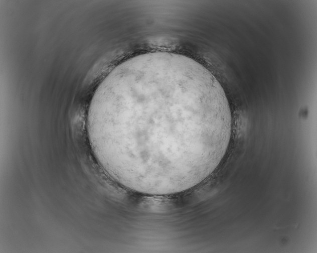 X0000116280713200912211819