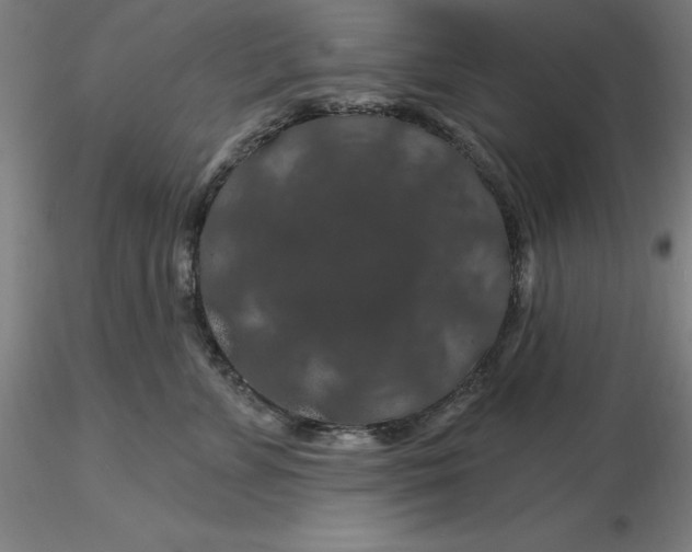 X0000116280715200912211819