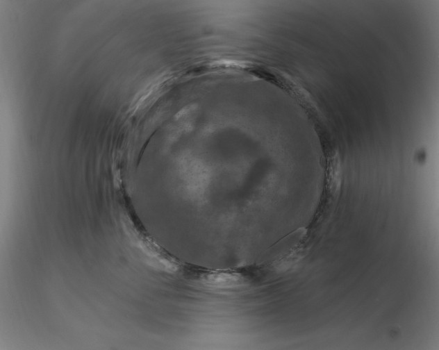 X0000116280716200912211819