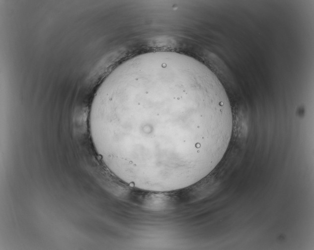 X0000116280717200912211819