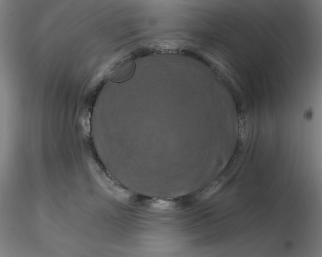 X0000116280718200912211819