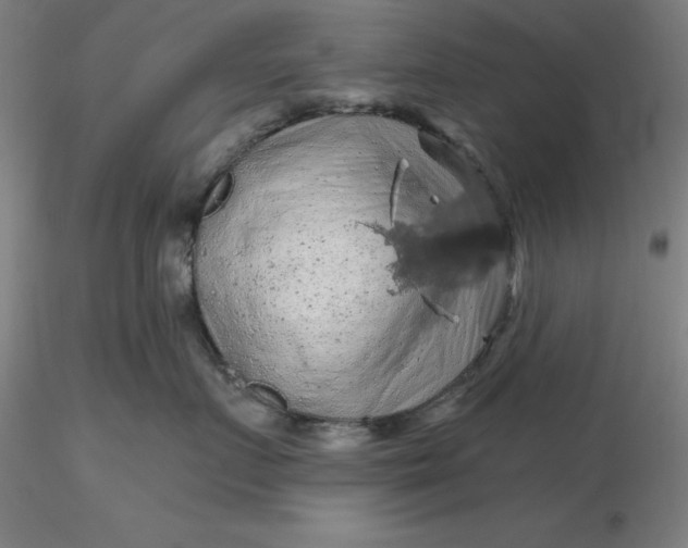 X0000116280719200912211819