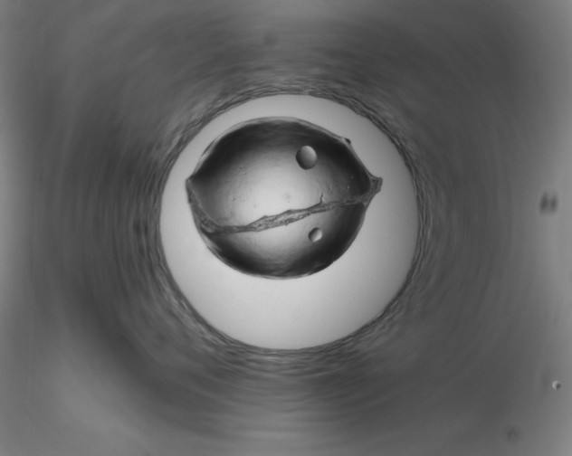 X0000116280720200912211819