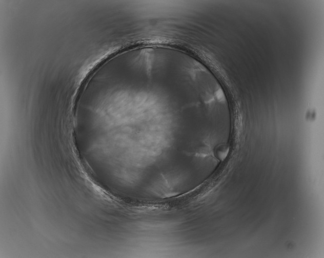 X0000116280721200912211818