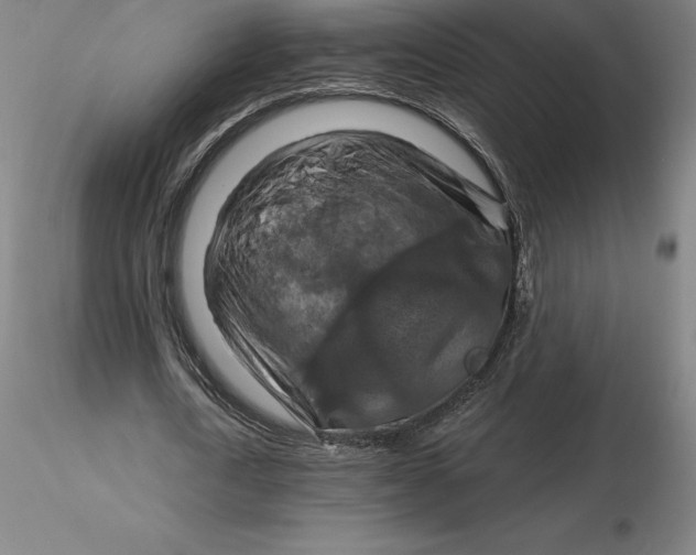 X0000116280722200912211818