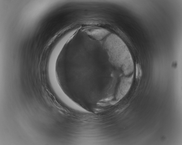 X0000116280723200912211818