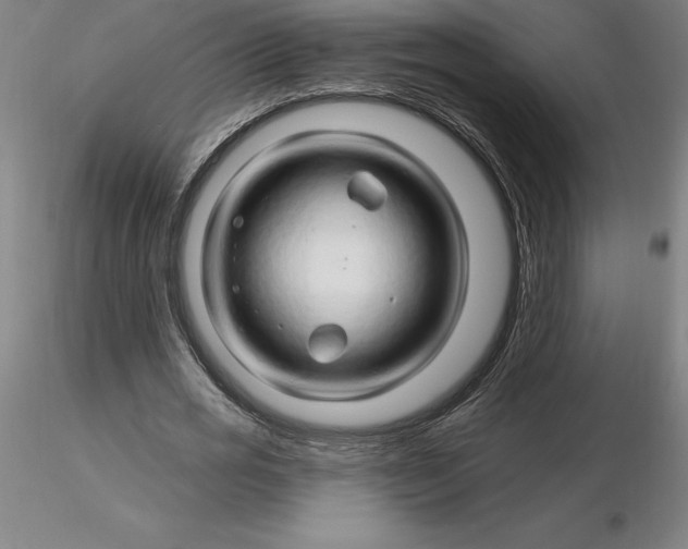 X0000116280725200912211818