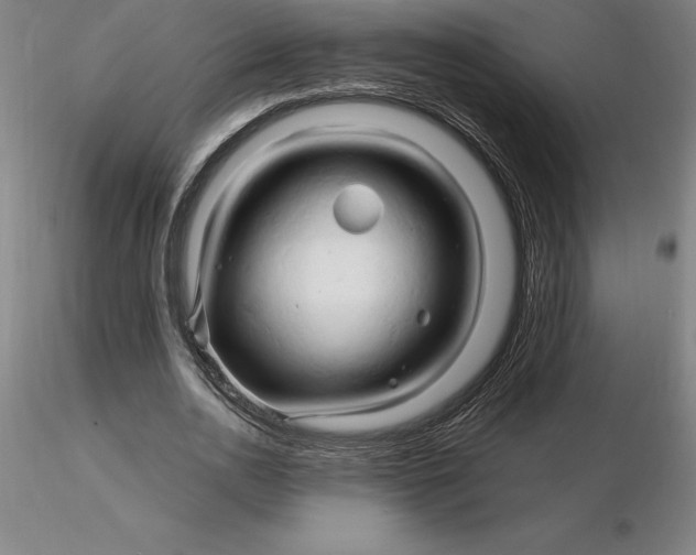 X0000116280726200912211818