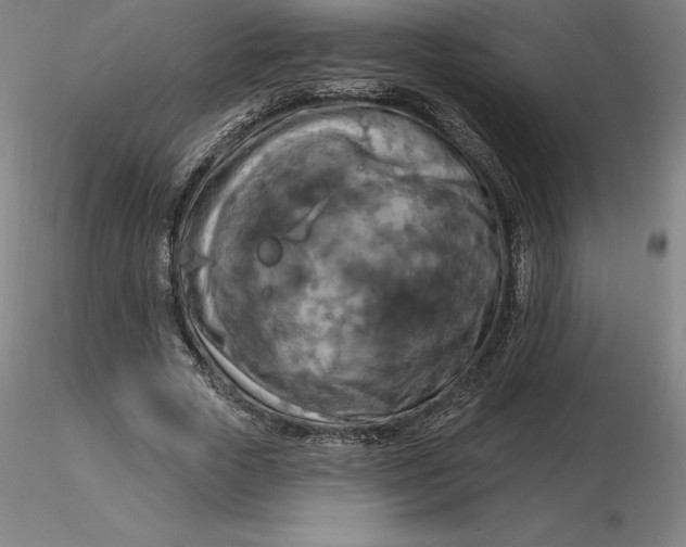 X0000116280729200912211818