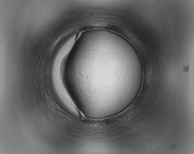 X0000116280731200912211818