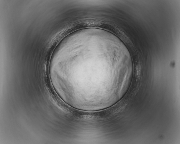 X0000116280733200912211818