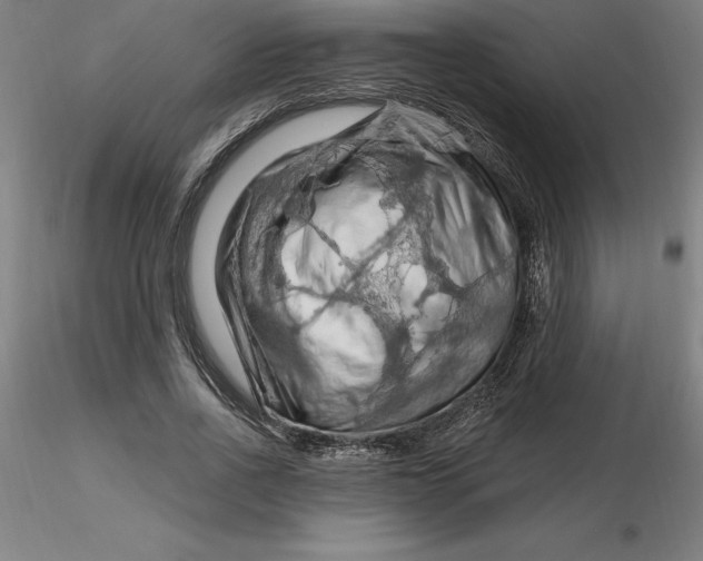 X0000116280734200912211818