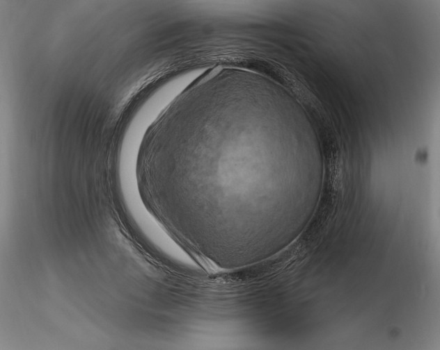 X0000116280735200912211818