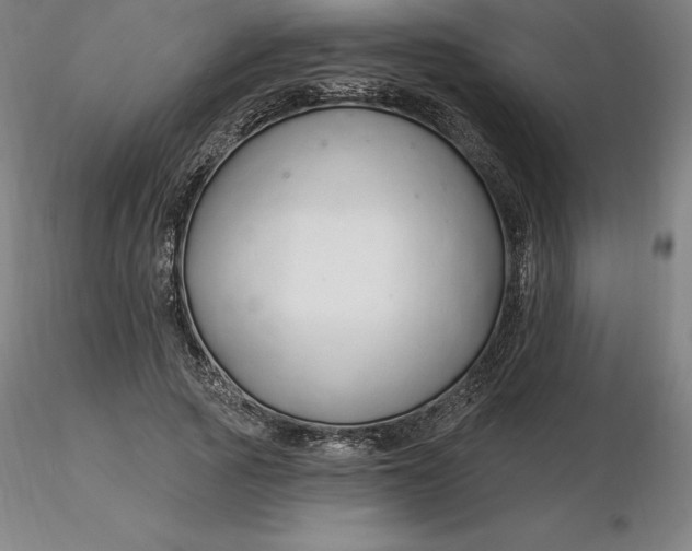 X0000116280737200912211819