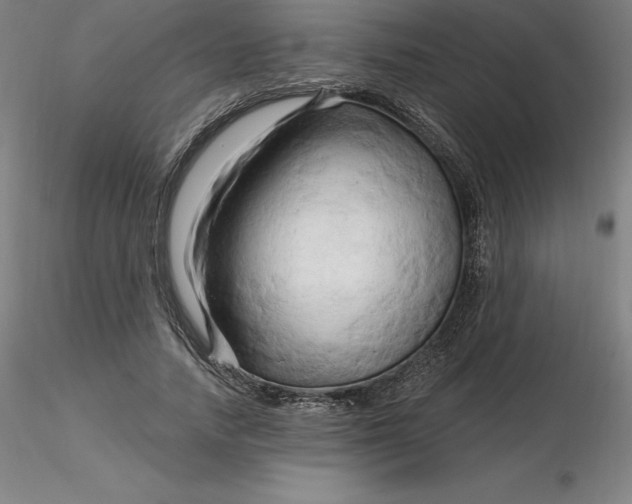 X0000116280738200912211819