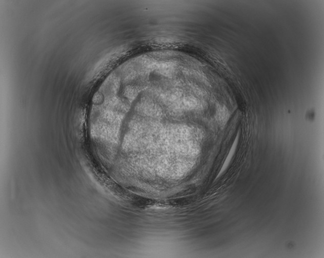 X0000116280742200912211819