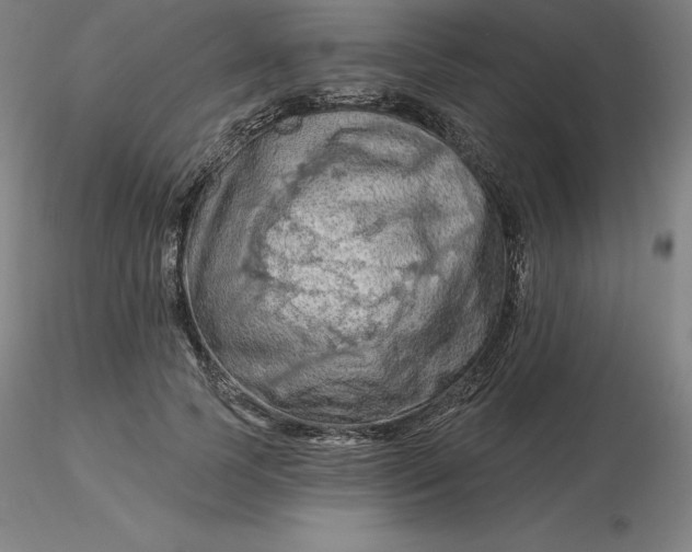 X0000116280745200912211819