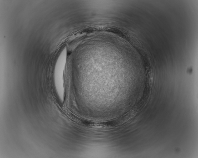 X0000116280746200912211819