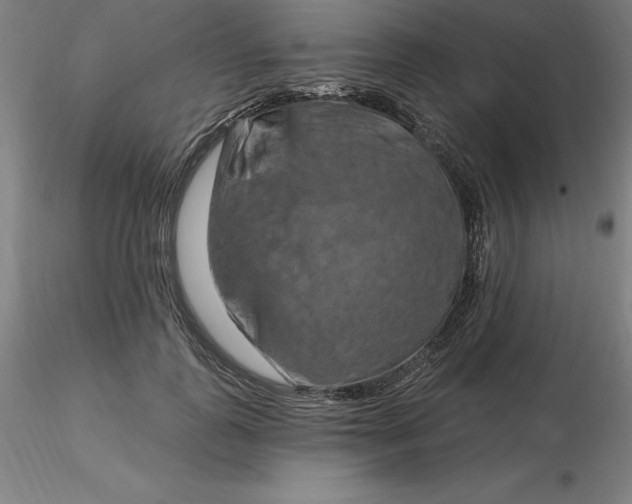 X0000116280747200912211819