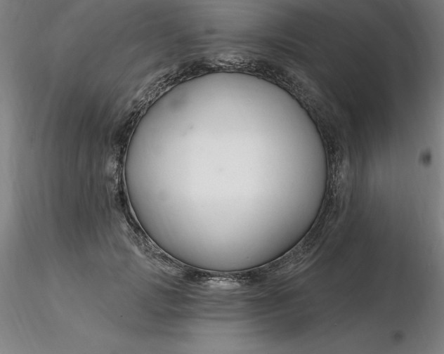 X0000116280749200912211819