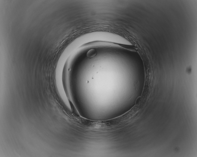 X0000116280750200912211819