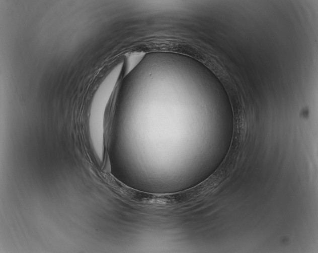 X0000116280751200912211819