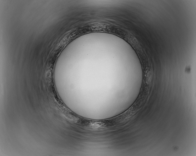 X0000116280753200912211819