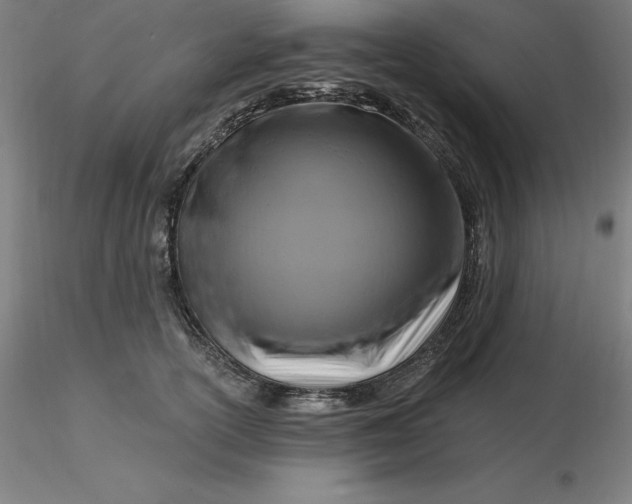 X0000116280754200912211819