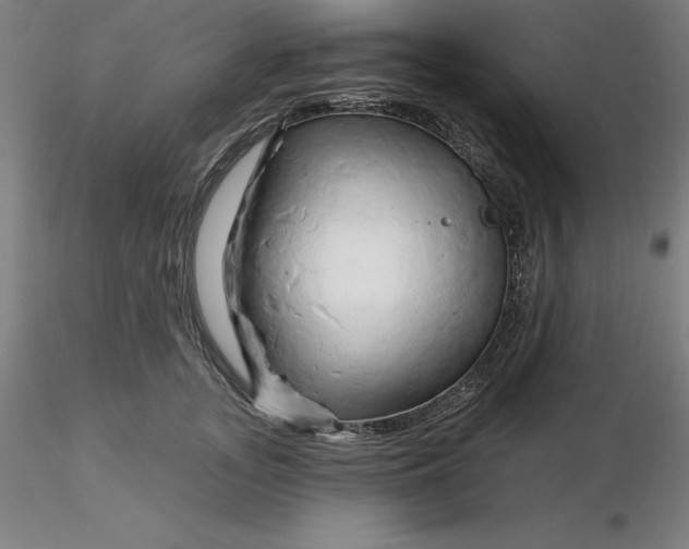 X0000116280755200912211819