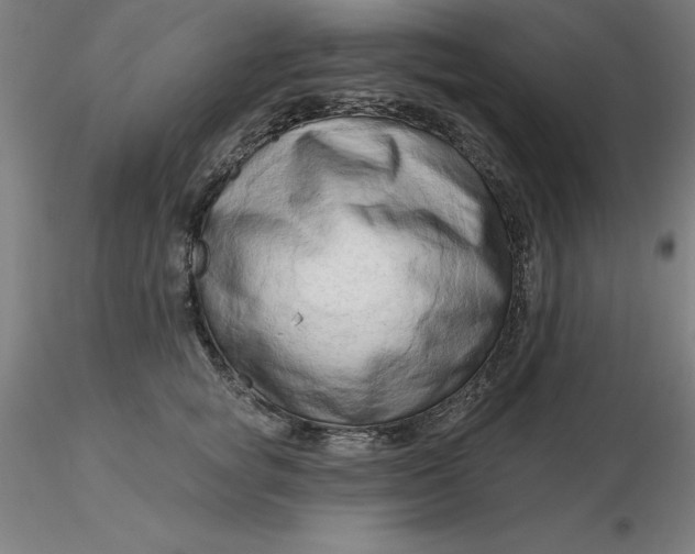 X0000116280757200912211819