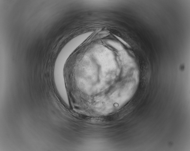 X0000116280758200912211819