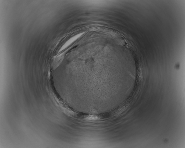 X0000116280759200912211819