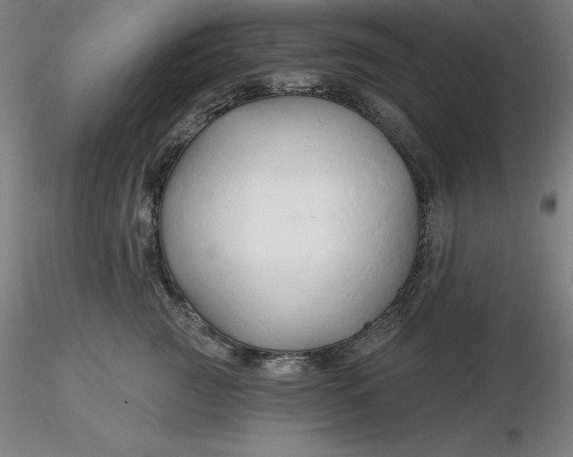 X0000116280761200912211819