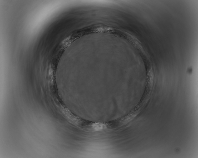 X0000116280762200912211819