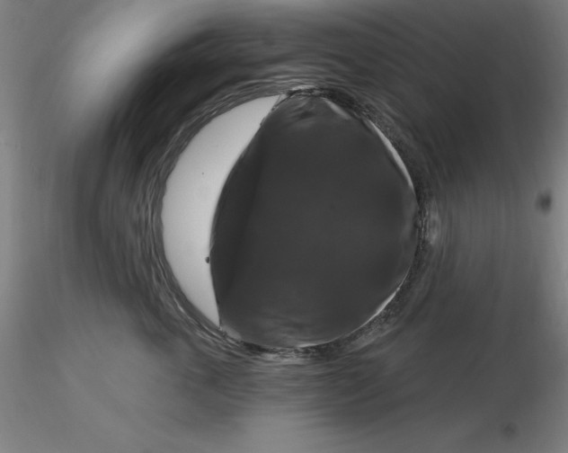 X0000116280763200912211819