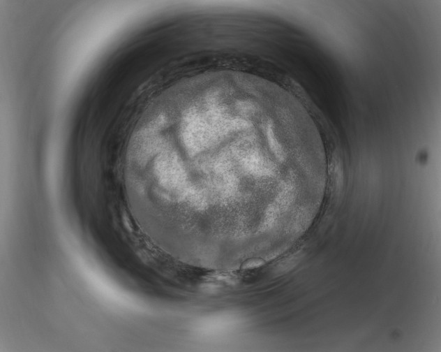 X0000116280765200912211819