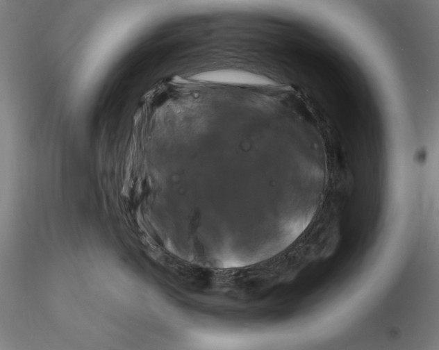 X0000116280766200912211819