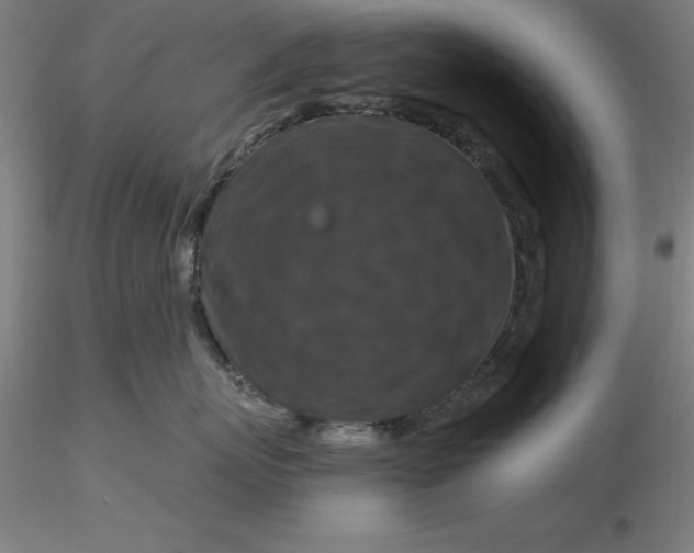 X0000116280767200912211819