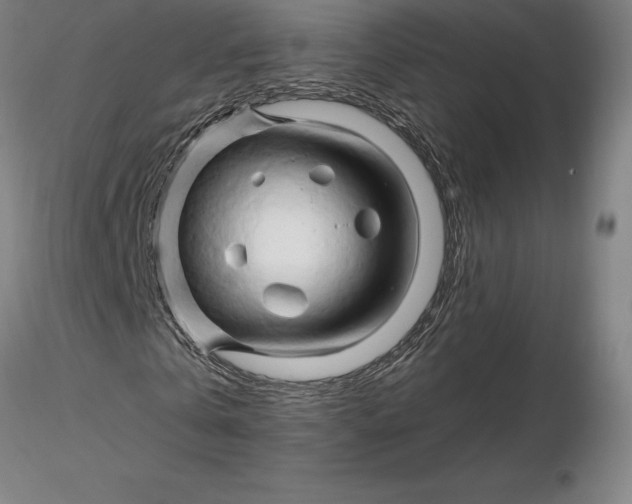 X0000116280769200912211818